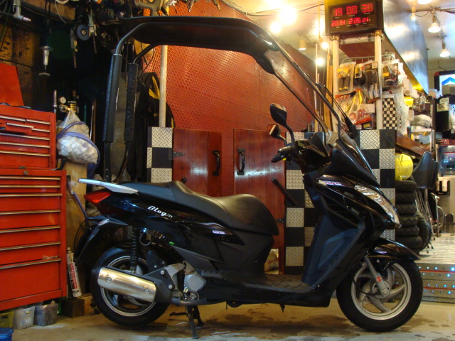 Malaguti ブログルーフ125ie